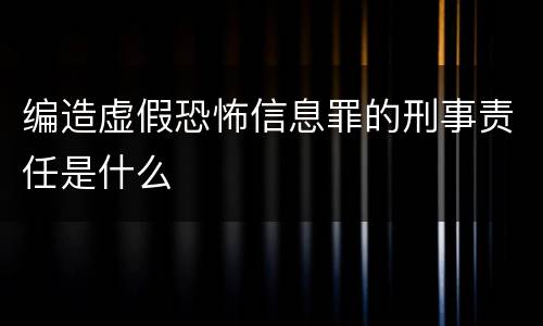 编造虚假恐怖信息罪的刑事责任是什么