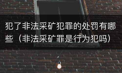 犯了非法采矿犯罪的处罚有哪些（非法采矿罪是行为犯吗）