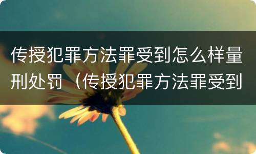 传授犯罪方法罪受到怎么样量刑处罚（传授犯罪方法罪受到怎么样量刑处罚）