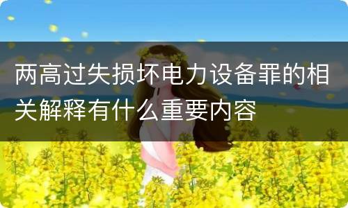 两高过失损坏电力设备罪的相关解释有什么重要内容