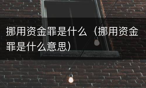 挪用资金罪是什么（挪用资金罪是什么意思）