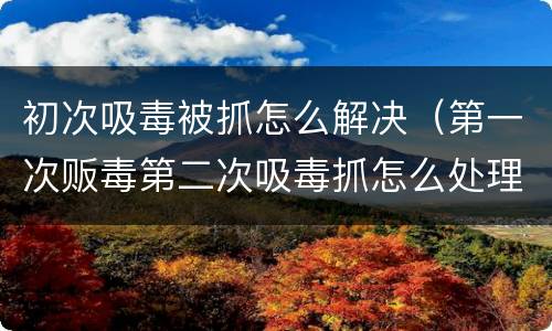 初次吸毒被抓怎么解决（第一次贩毒第二次吸毒抓怎么处理）