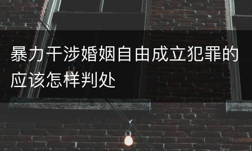 暴力干涉婚姻自由成立犯罪的应该怎样判处