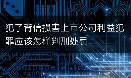 犯了背信损害上市公司利益犯罪应该怎样判刑处罚