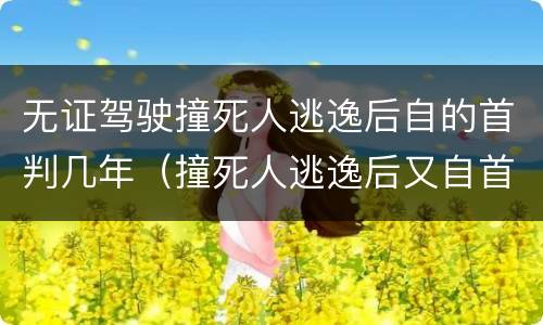 无证驾驶撞死人逃逸后自的首判几年（撞死人逃逸后又自首判多少年）