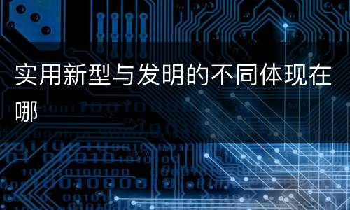 实用新型与发明的不同体现在哪