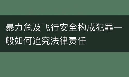 暴力危及飞行安全构成犯罪一般如何追究法律责任