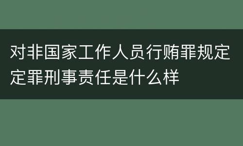 对非国家工作人员行贿罪规定定罪刑事责任是什么样