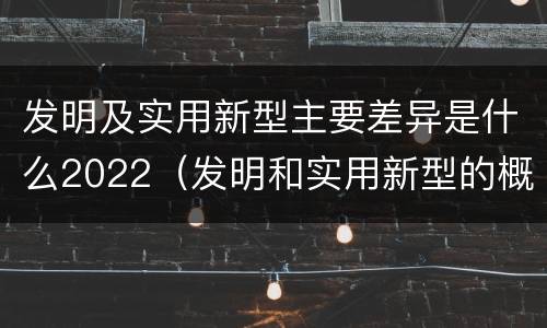 发明及实用新型主要差异是什么2022（发明和实用新型的概念）