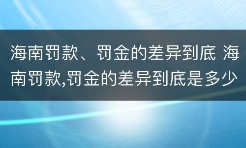 海南罚款、罚金的差异到底 海南罚款,罚金的差异到底是多少