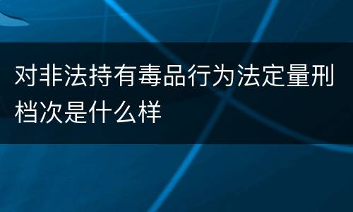 对非法持有毒品行为法定量刑档次是什么样