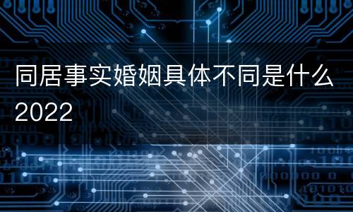 同居事实婚姻具体不同是什么2022