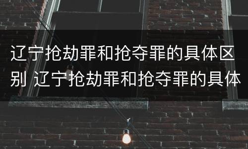 辽宁抢劫罪和抢夺罪的具体区别 辽宁抢劫罪和抢夺罪的具体区别