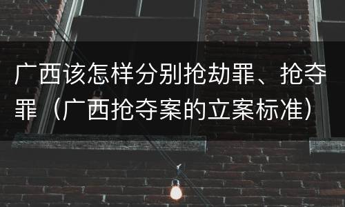 广西该怎样分别抢劫罪、抢夺罪（广西抢夺案的立案标准）