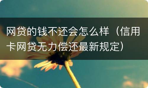 网贷的钱不还会怎么样（信用卡网贷无力偿还最新规定）