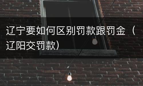 辽宁要如何区别罚款跟罚金（辽阳交罚款）
