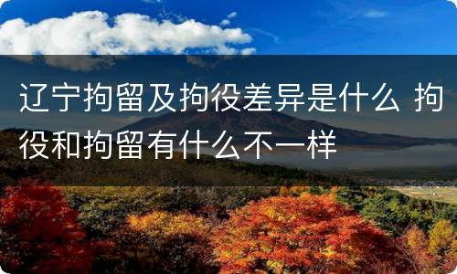 辽宁拘留及拘役差异是什么 拘役和拘留有什么不一样