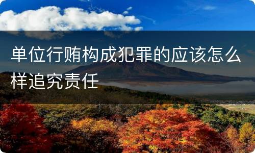 单位行贿构成犯罪的应该怎么样追究责任