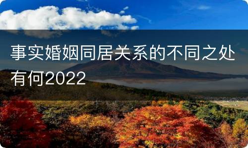 事实婚姻同居关系的不同之处有何2022