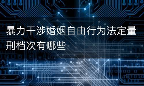 暴力干涉婚姻自由行为法定量刑档次有哪些