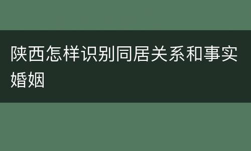 陕西怎样识别同居关系和事实婚姻