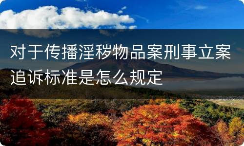 对于传播淫秽物品案刑事立案追诉标准是怎么规定