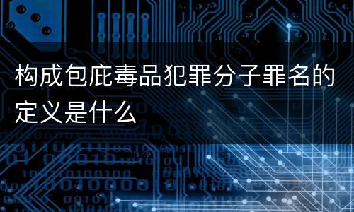 构成包庇毒品犯罪分子罪名的定义是什么