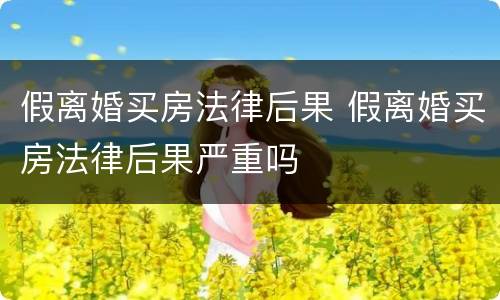 假离婚买房法律后果 假离婚买房法律后果严重吗