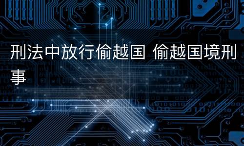 刑法中放行偷越国 偷越国境刑事