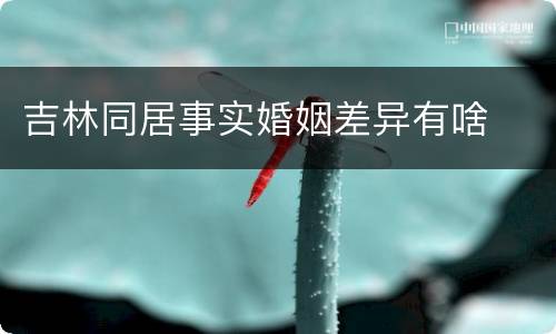 吉林同居事实婚姻差异有啥
