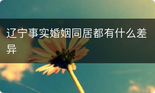 辽宁事实婚姻同居都有什么差异