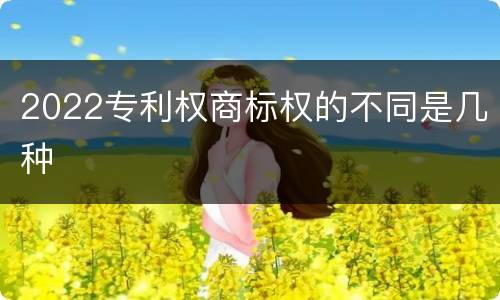 2022专利权商标权的不同是几种