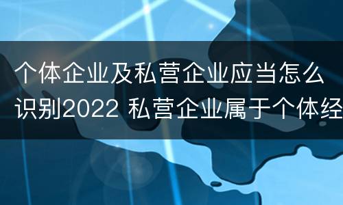 个体企业及私营企业应当怎么识别2022 私营企业属于个体经营吗