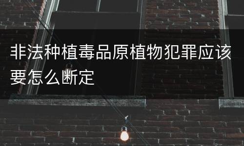非法种植毒品原植物犯罪应该要怎么断定