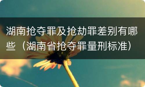 湖南抢夺罪及抢劫罪差别有哪些（湖南省抢夺罪量刑标准）