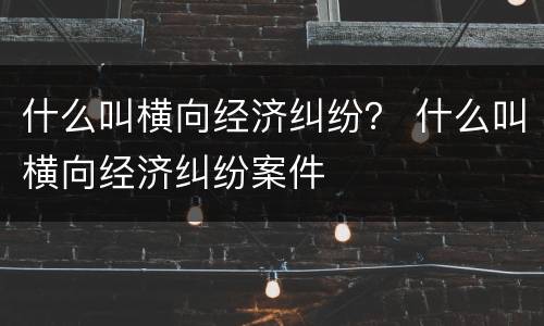什么叫横向经济纠纷？ 什么叫横向经济纠纷案件