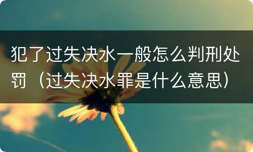 犯了过失决水一般怎么判刑处罚（过失决水罪是什么意思）