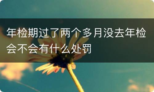年检期过了两个多月没去年检会不会有什么处罚