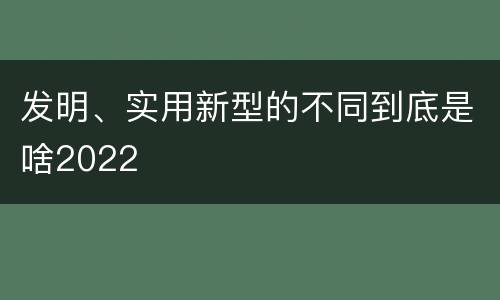 发明、实用新型的不同到底是啥2022
