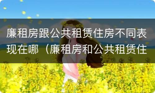 廉租房跟公共租赁住房不同表现在哪（廉租房和公共租赁住房）