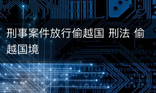 刑事案件放行偷越国 刑法 偷越国境