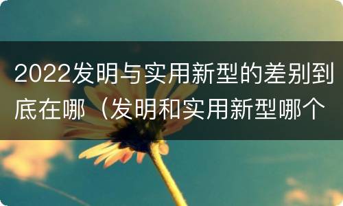 2022发明与实用新型的差别到底在哪（发明和实用新型哪个好）