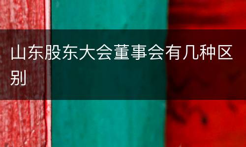 山东股东大会董事会有几种区别