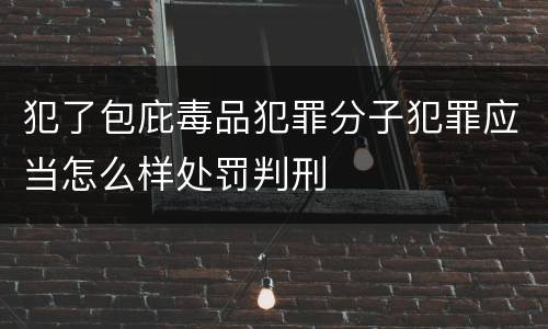 犯了包庇毒品犯罪分子犯罪应当怎么样处罚判刑