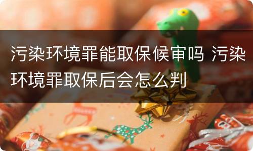 污染环境罪能取保候审吗 污染环境罪取保后会怎么判
