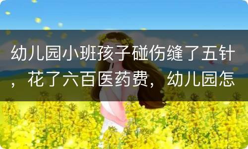幼儿园小班孩子碰伤缝了五针，花了六百医药费，幼儿园怎么赔偿
