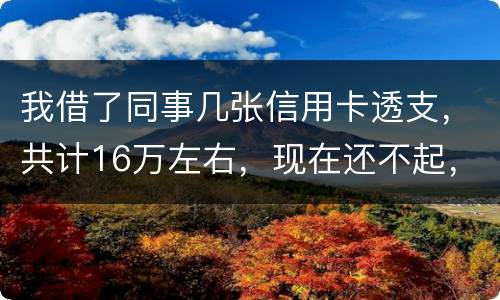 我借了同事几张信用卡透支，共计16万左右，现在还不起，要付刑事责任吗