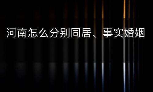 河南怎么分别同居、事实婚姻