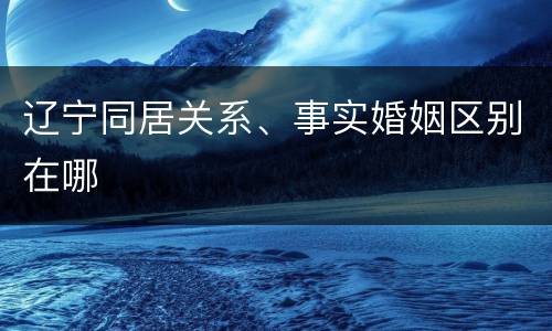 辽宁同居关系、事实婚姻区别在哪