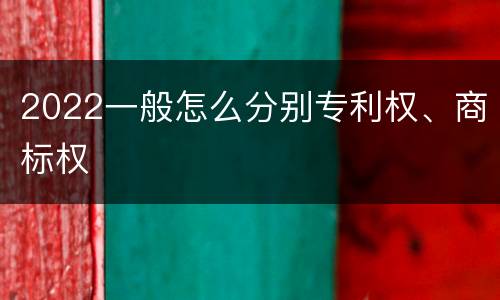 2022一般怎么分别专利权、商标权